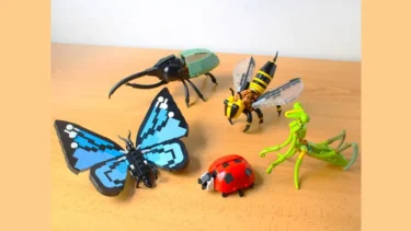 LEGO INSECTS | LEGO IDEAS 10K Design for 2022 1st Review