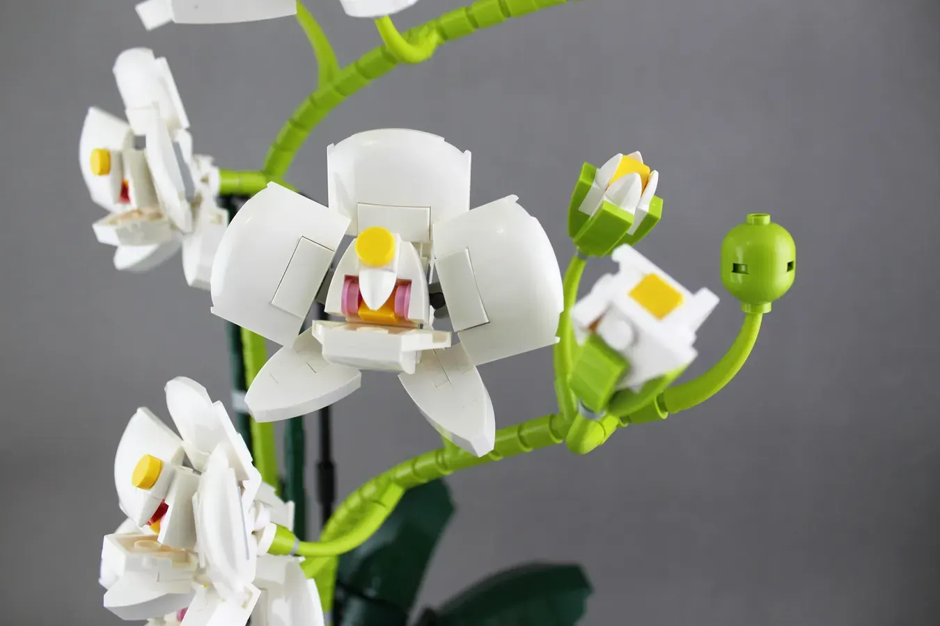 Orchid Achieves 10K Support on LEGO IDEAS