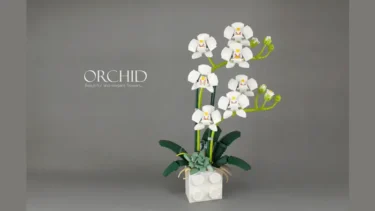 Orchid Achieves 10K Support on LEGO IDEAS
